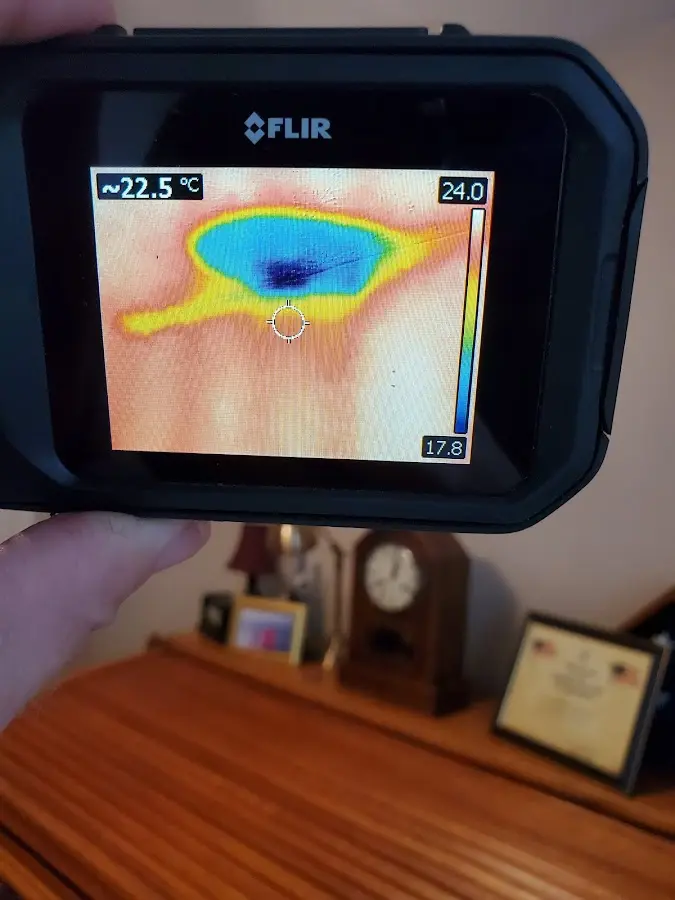 Thermal imaging inspection for water damage in Palisades Park