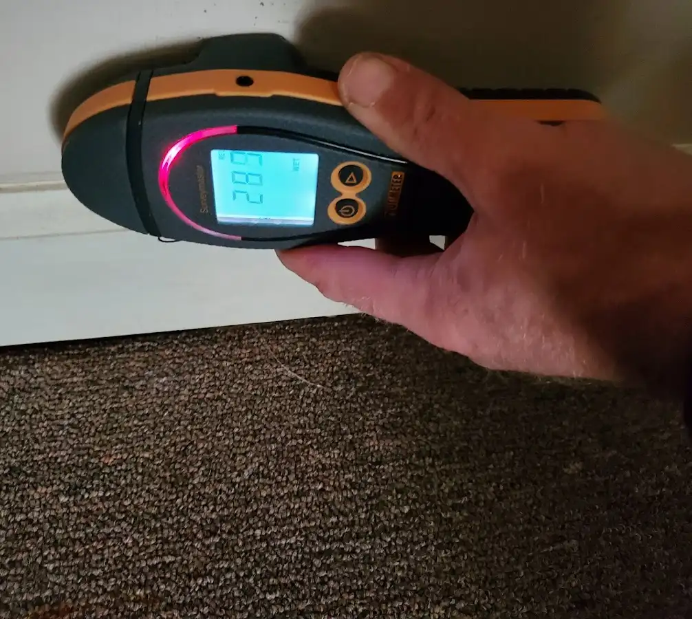 Moisture detection at baseboard during Sewage Cleanup & Sanitation in Palisades Park